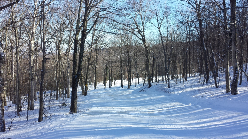 Ski Bums in Vermont